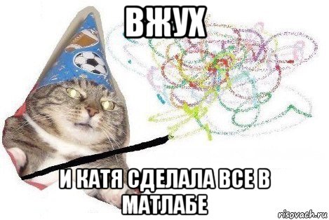 вжух и катя сделала все в матлабе, Мем Вжух