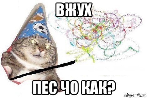 вжух пес чо как?, Мем Вжух