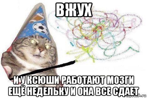 вжух и у ксюши работают мозги ещё недельку и она все сдает, Мем Вжух