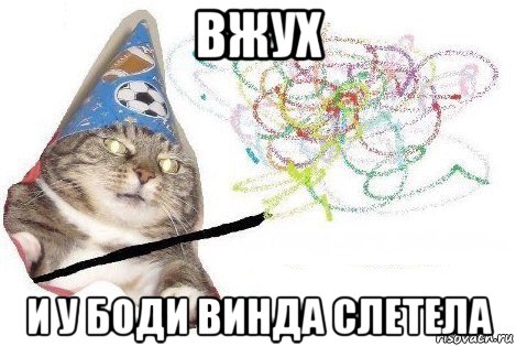 вжух и у боди винда слетела, Мем Вжух