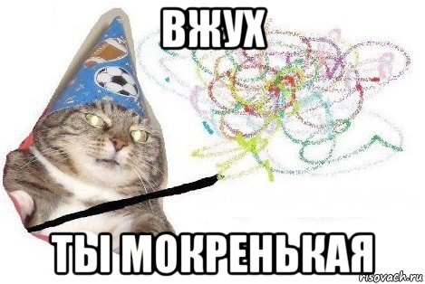 вжух ты мокренькая, Мем Вжух