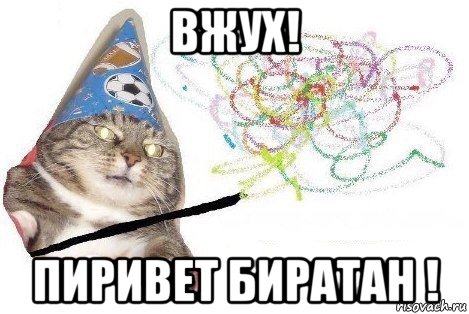 вжух! пиривет биратан !, Мем Вжух