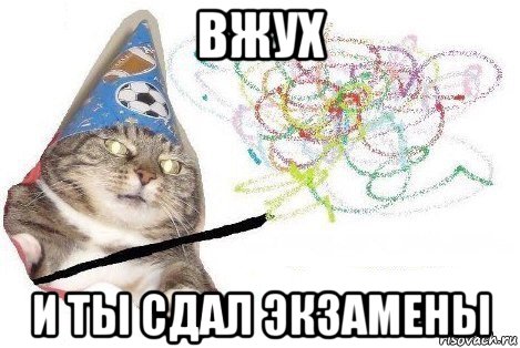 вжух и ты сдал экзамены, Мем Вжух