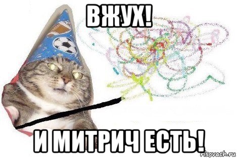 вжух! и митрич есть!, Мем Вжух