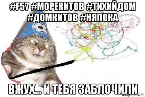 #f57 #морекитов #тихийдом #домкитов #няпока вжух... и тебя заблочили, Мем Вжух