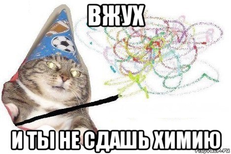 вжух и ты не сдашь химию, Мем Вжух