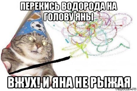 перекись водорода на голову яны вжух! и яна не рыжая, Мем Вжух