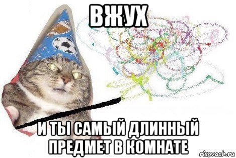 вжух и ты самый длинный предмет в комнате, Мем Вжух