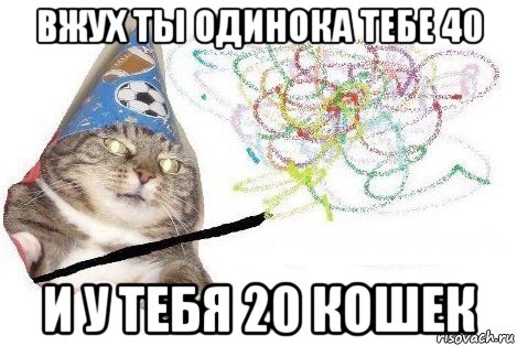 вжух ты одинока тебе 40 и у тебя 20 кошек, Мем Вжух