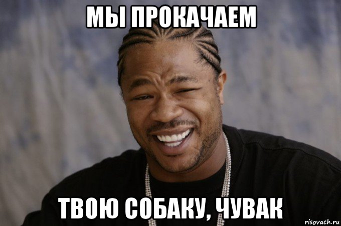 мы прокачаем твою собаку, чувак, Мем Xzibit