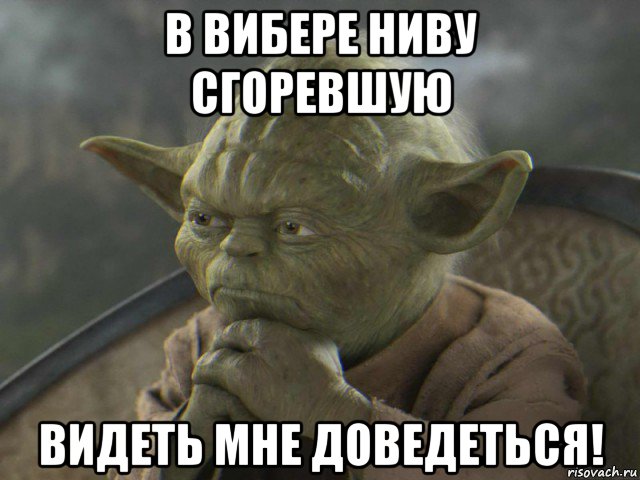 Интересно однако. Мастер йода голый. Йода делай или не делай. Мастер йода чихуа. Куни мастер йода.