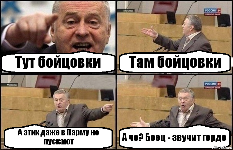 Тут бойцовки Там бойцовки А этих даже в Парму не пускают А чо? Боец - звучит гордо, Комикс Жириновский