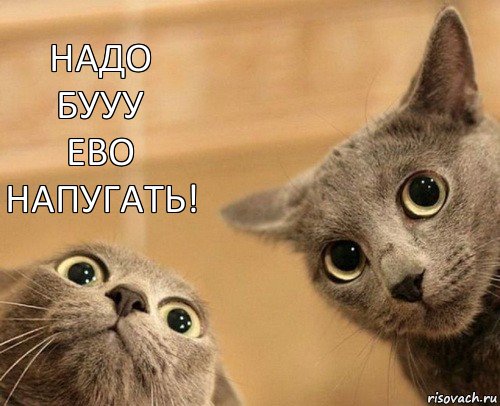 надо БУУУ
ево
напугать! 