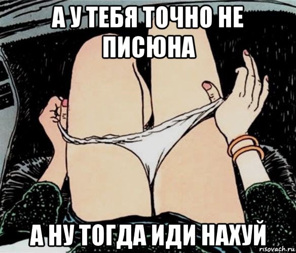 а у тебя точно не писюна а ну тогда иди нахуй, Мем А ты точно