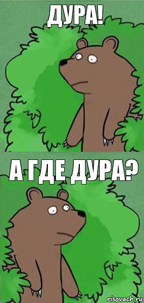 дура! а где дура?