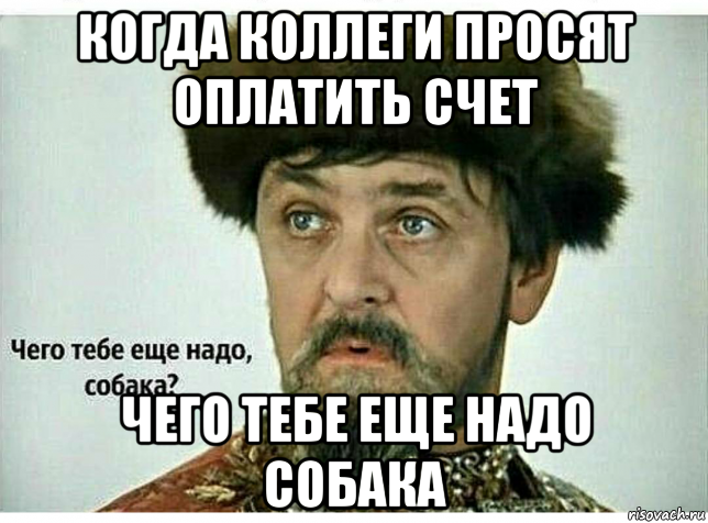 Что тебе еще надо собака. Чего тебе надо собака. Чего тебе еще надо. Так чего тебе ещё надо собака.