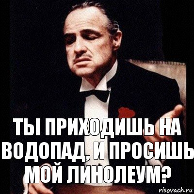 ты приходишь на водопад, и просишь мой линолеум?, Комикс Дон Вито Корлеоне 1