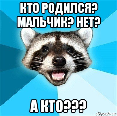 кто родился? мальчик? нет? а кто???, Мем Енот-Каламбурист