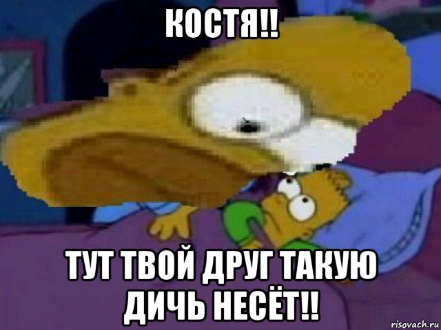 костя!! тут твой друг такую дичь несёт!!, Мем Гомер и барт