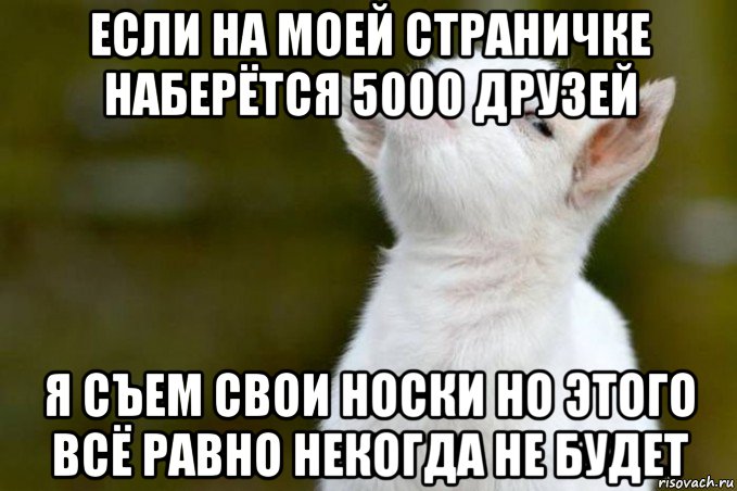 если на моей страничке наберётся 5000 друзей я съем свои носки но этого всё равно некогда не будет, Мем  Гордый козленок