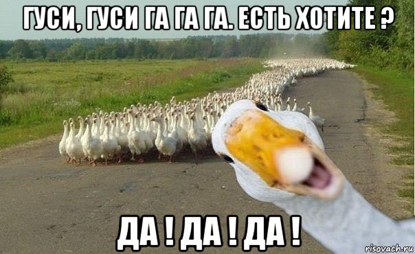 гуси, гуси га га га. есть хотите ? да ! да ! да !, Мем гуси