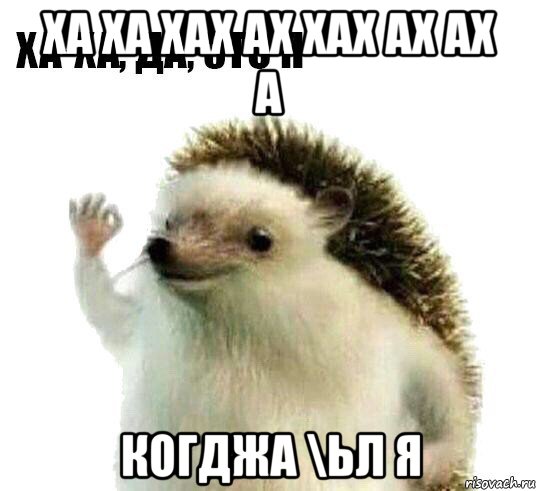 ха ха хах ах хах ах ах а когджа \ьл я, Мем Ха-ха да это я