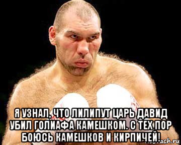  я узнал, что лилипут царь давид убил голиафа камешком. с тех пор боюсь камешков и кирпичей!, Мем каменная голова