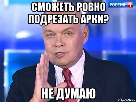 сможеть ровно подрезать арки? не думаю, Мем Киселёв 2014