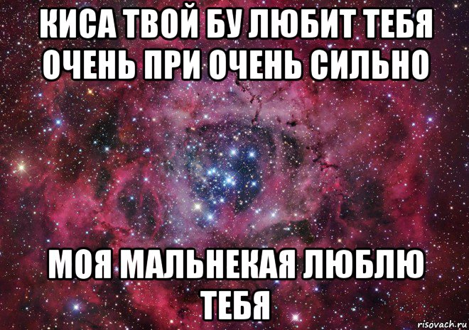 киса твой бу любит тебя очень при очень сильно моя мальнекая люблю тебя, Мем Ты просто космос