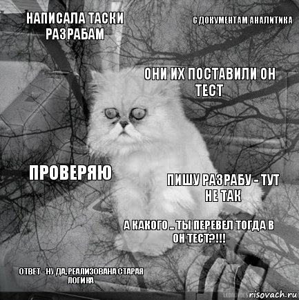 Написала таски разрабам Пишу разрабу - тут не так Они их поставили он тест ответ - ну да, реализована старая логика Проверяю С документам аналитика А какого .. ты перевел тогда в он тест?!!!   , Комикс  кот безысходность