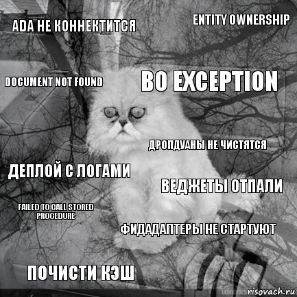 ADA не коннектится веджеты отпали bo exception почисти кэш деплой с логами entity ownership фидадаптеры не стартуют document not found failed to call stored procedure дропдуаны не чистятся, Комикс  кот безысходность