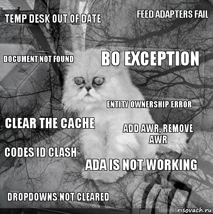 temp desk out of date add awr, remove awr BO EXCEPTION dropdowns not cleared clear the cache feed adapters fail ADA is not working document not found codes id clash entity ownership error, Комикс  кот безысходность