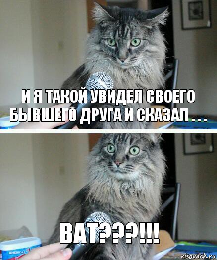 и я такой увидел своего бывшего друга и сказал . . . ват???!!!, Комикс  кот с микрофоном