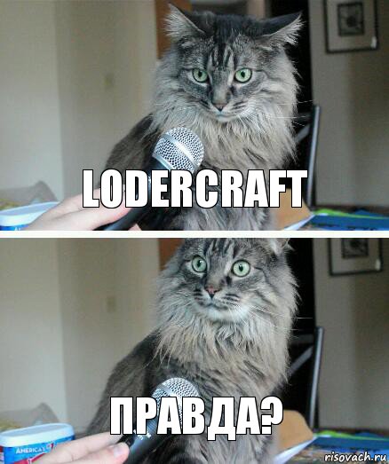 Lodercraft правда?, Комикс  кот с микрофоном