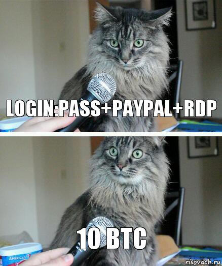 login:pass+paypal+rdp 10 BTC, Комикс  кот с микрофоном