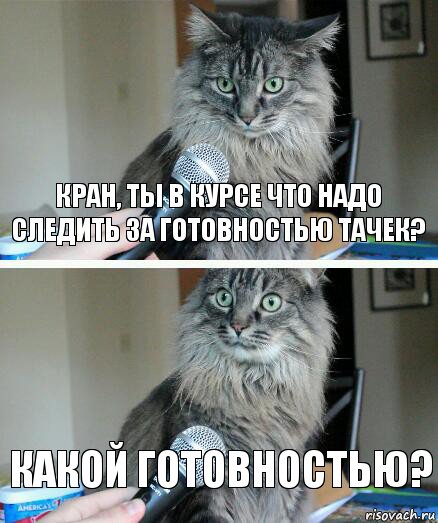 КРАН, ТЫ В КУРСЕ ЧТО НАДО СЛЕДИТЬ ЗА ГОТОВНОСТЬЮ ТАЧЕК? КАКОЙ ГОТОВНОСТЬЮ?, Комикс  кот с микрофоном