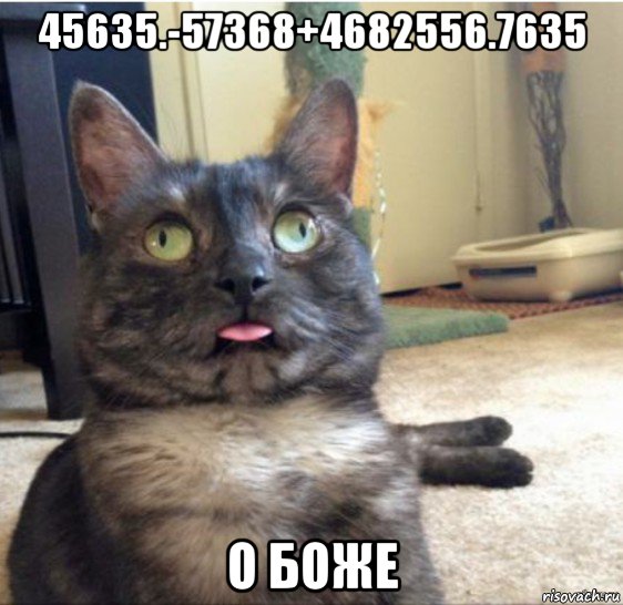 45635.-57368+4682556.7635 о боже, Мем   Кот завис