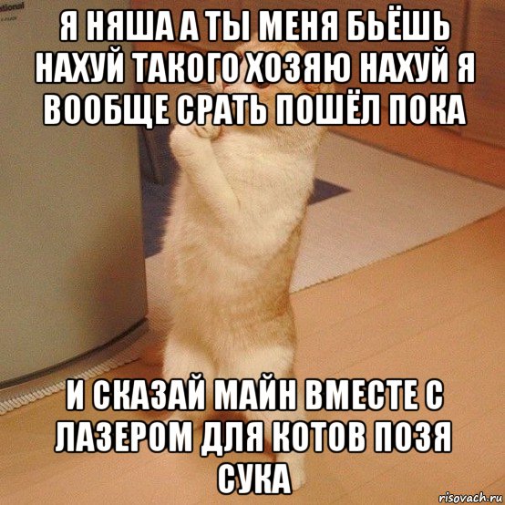 я няша а ты меня бьёшь нахуй такого хозяю нахуй я вообще срать пошёл пока и сказай майн вместе с лазером для котов позя сука, Мем  котэ молится