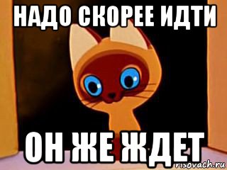 Идите скорее. Котенок Гав в животике. Котенок Гав спрятал в животике. Котлета в животике котенок Гав. Котенок по имени Гав котлета в животике.