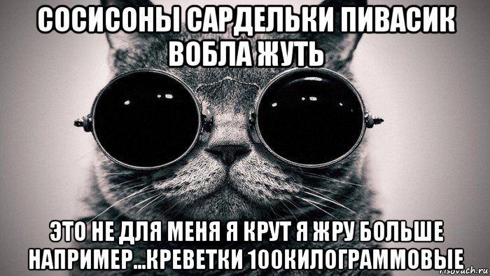 сосисоны сардельки пивасик вобла жуть это не для меня я крут я жру больше например...креветки 100килограммовые, Мем Котоматрица