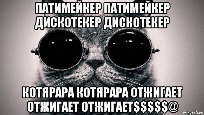 патимейкер патимейкер дискотекер дискотекер котярара котярара отжигает отжигает отжигает$$$$$@, Мем Котоматрица