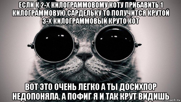 если к 2-х килограммовому коту прибавить 1 килограммовую сардельку то получится крутой 3-х килограммовый круто кот вот это очень легко а ты досихпор недопоняла. а пофиг я и так крут видишь, Мем Котоматрица