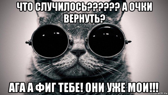 что случилось?????? а очки вернуть? ага а фиг тебе! они уже мои!!!, Мем Котоматрица