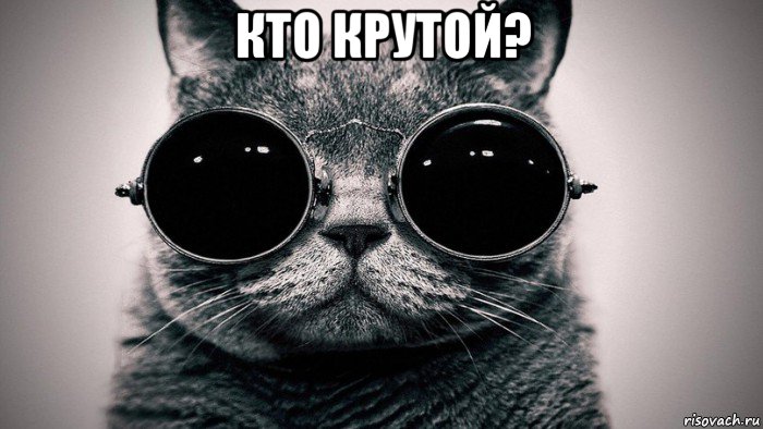 кто крутой? , Мем Котоматрица