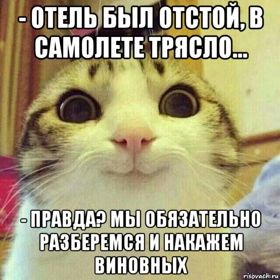 - отель был отстой, в самолете трясло... - правда? мы обязательно разберемся и накажем виновных, Мем       Котяка-улыбака