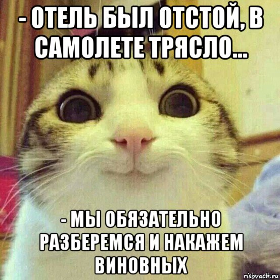 - отель был отстой, в самолете трясло... - мы обязательно разберемся и накажем виновных, Мем       Котяка-улыбака