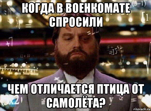 когда в военкомате спросили чем отличается птица от самолёта?, Мем Мальчишник в вегасе