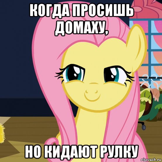 когда просишь домаху, но кидают рулку, Мем  Mem Fluttershy