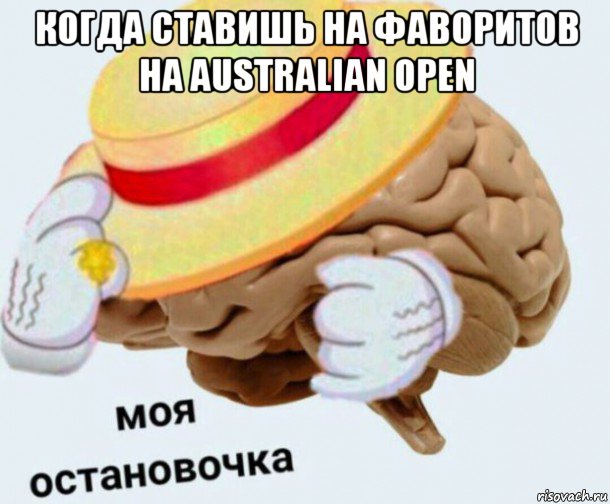 когда ставишь на фаворитов на australian open , Мем   Моя остановочка мозг
