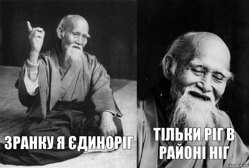 Зранку я єдиноріг Тільки ріг в районі ніг, Комикс Мудрец-монах (2 зоны)